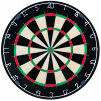 Bulls Dartboard NPQ